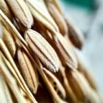 Optimizing Gut Health: Enhancing Microbiome with Diet