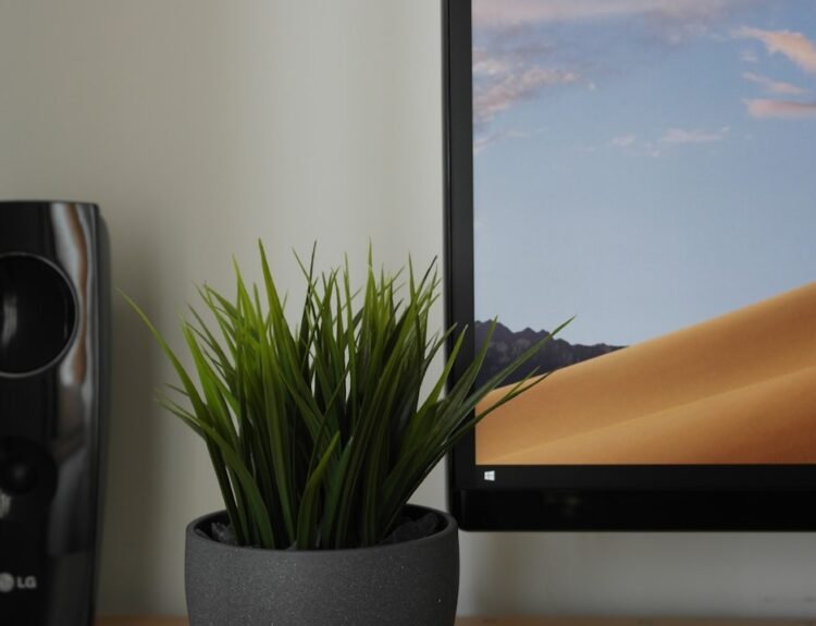 Photo Smart TV with VPN icon
